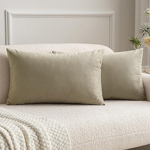 MIULEE Samt Kissenbezug Dekokissen Kissenhülle Zierkissenbezug Dekorative Zierkissenhülle mit Verstecktem Reißverschluss 30x50 cm 2er Set Taupe