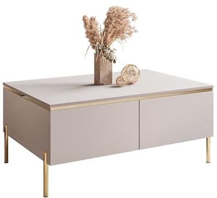 Lookway Couchtisch Aurora Kaschmir Matt mit Stauraum, auf goldenen Füßen und Goldener Dekorleiste – Modernes Wohnzimmermöbel (gerade Gold Chrom)