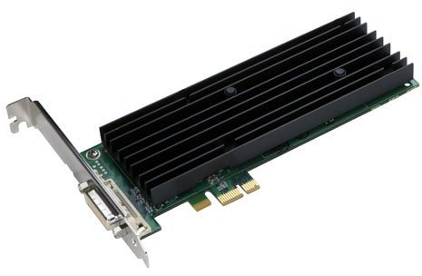 PNY Quadro NVS 290 LP Grafikkarte (PCI-e, 256MB DDR2 Speicher, Dual VGA/DVI, 1 GPU)