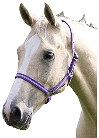 Shires Wessex Nylon Headcollar -Purple/Lilac Foal
