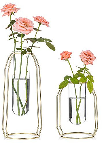 2 Vasi di Fiori con Cornice d'Arte in Ferro, Vaso Geometrico, Vaso Centrale Centrotavola, Supporto da Tavolo per Piante da Tavolo per Arredamento da Tavolo da Ufficio, Oro