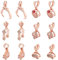 SUPERFINDINGS 12pcs 6 Styles Anhänger Kette Verschluss Clip Messing Rose Gold Halskette Verschlüsse Zirkonia Eispickel Pinch Bails Für DIY Craft Armband Schmuckherstellung