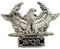 SPQR Senatus Populusque Romanus Antike Römische Republik Metal Pin Fan Badge Brosche (Silber)