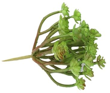 Garneck Künstliche Sukkulente Pflanze Simulierte Sukkulenten Für Heimdekoration Blumenarrangements Bürodekoration Grün