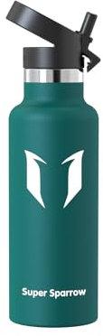 Super Sparrow Water Bottle Stainless Steel - Metal Water Bottle - 500ml - Insulated Water Bottles - Water Bottle with Straw Lid - BPA Free Kids Water Bottle - Flask for Gym, Travel, Sports