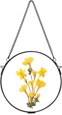 REDHUGO Glasrahmen, rund, gepresst, Blumenrahmen, Kreis, Schwarz, Durchmesser 17 cm