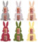Hestya Ostern Geldgeschenke Set mit 6 Osterhasen Filzdekorationen Geldgeschenk Verpackung für Ostern Hasen aus Filz Ostern Geschenk Lustige Osterdekoration zum Verschenken für Geld(Bunt)