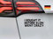I BOUGHT IT BEFORE ELON WENT CRAZY - Der Anti Elon Musk Tesla Aufkleber aus hochwertiger Oracal-Folie für empfindliche Auto-Lacke, Vinyl Sticker (schwarz)