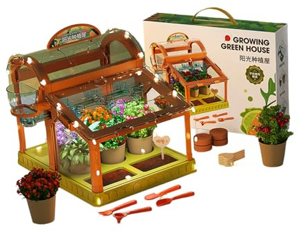 Serre à LED améliorée en acrylique pour la culture et l'apprentissage des plantes d'intérieur - Serre pour enfants en acrylique pour la culture et l'apprentissage des plantes d'intérieur