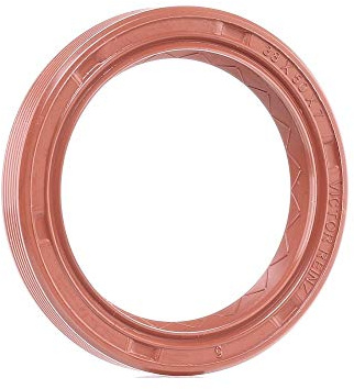 Reinz 81-24641-10 Wellendichtring, Nockenwelle