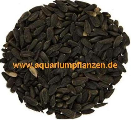 5 kg Schwarze Sonnenblumenkerne, Vogelfutter