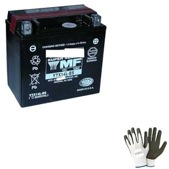 farbrothersonline Compatible avec Harley Davidson XLT Sportster Super Low 1200 2014-2018 Batterie YTX14L-BS YUASA (SCELLÉ Complet ET PRÊT) Batteries 12V/12AH Moto Scooter SPÉCIFICATION 150X87X145
