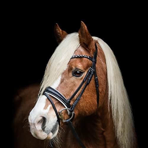 Heinick Trense Performance anatomisch Weiß Glow Schnallen oder Zaumhaken Warmblut 9 Stirnriemen