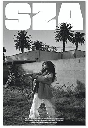 RIKCAT Sza Poster CTRL Poster, Leinwand, Poster, Schlafzimmer, Dekoration, Sport, Landschaft, Büro, Raumdekoration, Geschenk, ungerahmt, 20 x 30 cm