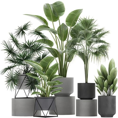 Grüne Pflanze Wandaufkleber,3D Bonsai Tropische Pflanze Wandaufkleber Kreatives Vinyl Abziehen und Aufkleben Abnehmbare Kunst Wanddekoration für Wohnzimmer Schlafzimmer Heim Büro