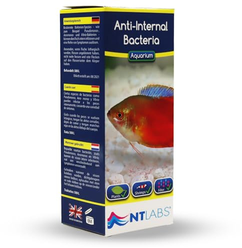 NT Labs Aquarium Anti-Internal Bacteria Treatment (100ml Treats 500L) | Treats clamped fins, red blotches, dropsy & pop-eye. Shrimp-safe anti-bacterial medicine. Harmless to filter bacteria.