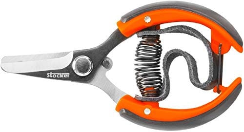 Stocker Zitrusschere mit Gurt 10 cm