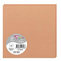 Clairefontaine 11827C Packung (mit 25 Karten Pollen, 135 x 135 mm) 210g, Nektar