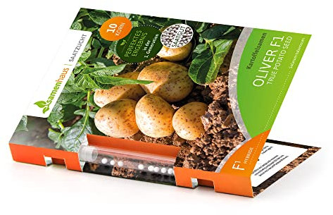 Saatzucht SAMENHAUS - Pillensaat Kartoffel Oliver F1 I Kartoffeln aus Samen mit hoher Resistenz I Alternative zu Pflanzkartoffeln I Gemüsesamen