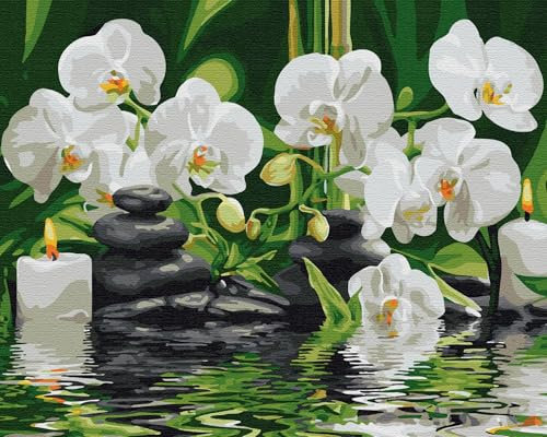 Artnapi Malen nach Zahlen Erwachsene ohne Rahmen | DIY Handgemalt | Orchideen im Wasser | Kit für Anfänger und Erwachsene | Set inklusive Acrylfarben & Pinsel | 40x50cm Leinwand
