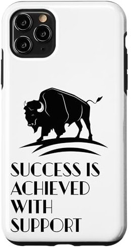 iPhone 11 Pro Max Success is achieved with support, celebrities, wealth Case