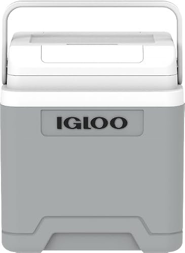 IGLOO IE42 AC/DC elektrische Kühlbox mit Telekop-Griff und Rollen, 42 Liter, Mini-Kühlschrank für Auto und Steckdose, 12V und 230V, grün