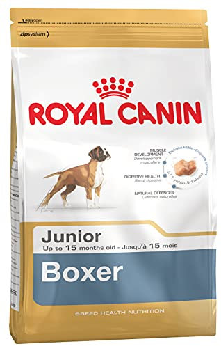 Royal Canin Boxer Junior 12 kg, 1er Pack (1 x 12 kg), 12kg