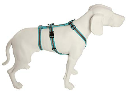 Feltmann No Exit ausbruchsicheres Hundegeschirr für Angsthund, Sicherheitsgeschirr für Pflegehunde, Panikgeschirr, Soft Grip, türkis/braun, Bauchumfang 50-65 cm, 20 mm Bandbreite