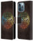 Head Case Designs Offizielle Brigid Ashwood Wasserhaus 15 Heiliges Symbol Leder-Wallet-Hülle Kompatibel mit Apple iPhone 13 Pro Max