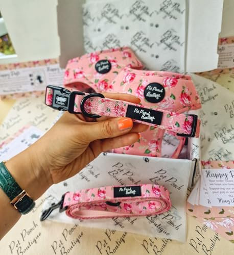 SUNDAY ROSE FLORAL DOG COLLAR XS