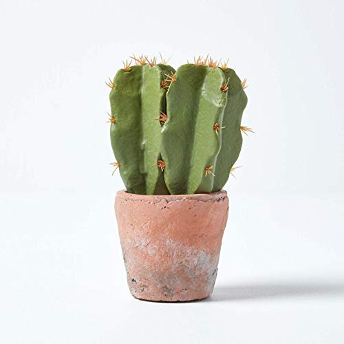 Homescapes Klein Künstlicher Kaktus in Topf aus Terrakotta, 17 cm hoch