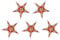 GURU SHOP 5 STK. Papier Ministern für Lichterkette, 20 cm, Faltbar, 5`er Set - Design 60, Papiersterne 20 cm für Lichterketten