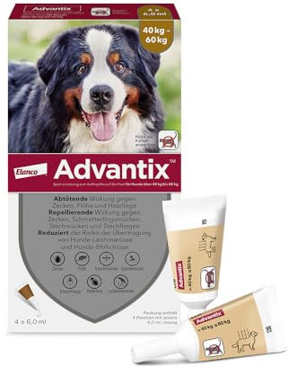 Elanco ADVANTIX Spot on für Hunde 40 kg bis 60 kg, Schutz vor Zecken & Flöhen, wehrt Mücken & Stechfliegen ab, Bevor sie stechen – Der Schutz für Urlaub & Alltag, Wirkung bis zu 4 Wochen, 4 Pipetten