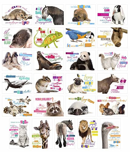 Edition Seidel Set 25 Postkarten lustige Tiere mit Sprüchen Karten mit Spruch Hund Katze Pferd coole Sprüche lustig Geburtstagskarten Postkarte
