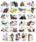 Edition Seidel Set 25 Postkarten lustige Tiere mit Sprüchen Karten mit Spruch Hund Katze Pferd coole Sprüche lustig Geburtstagskarten Postkarte