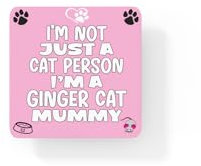 Ginger Cat Coaster Gift - I'm Not Just A Cat Person I'm A * Mummy - Novelty Cute Pet Owner Mug Cup Coaster Present
