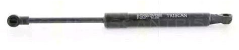 Triscan 8710 25107 Gasfeder, Motorhaube
