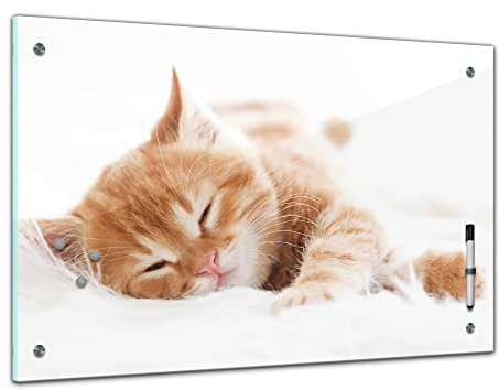Bilderdepot24 Memoboard 60 x 40 cm | Tiere | schlafende Katze | abwaschbare Glas-Magnettafel mit Halterung Magneten Stift 1318