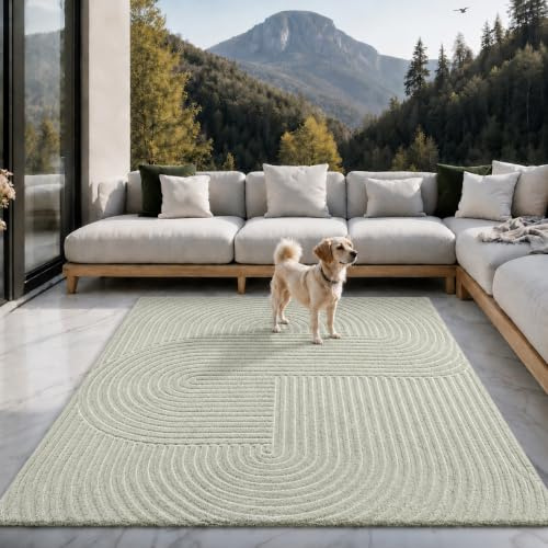 the carpet Santo Plus Outdoor Rug, Suitable for Living Room, Bedroom and Patio, Weatherproof, Durable and Easy to Clean, Green, 200 x 280 cm
