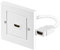 Wentronic Prise Murale HDMI (1 Prise Femelle a HDMI blindée) (Import Allemagne)