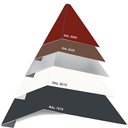 SixBros. Aluminium Traufblech Rinneneinhang Rinnenblech Dachblech farbbeschichtet Nasslack 16,5cm/0,8mm 2000mm Weiß RAL 9010