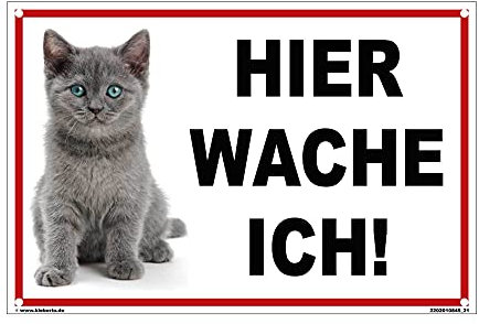 kleberio® Katzenschild Kunststoff - Hier wache ich! - 30 x 20cm mit Bohrlöcher Warnschild Katze Vorsicht Katze Gartendeko Katze Gartenschilder Warnung Schild für Briefkasten Katzen Verkehrsschild