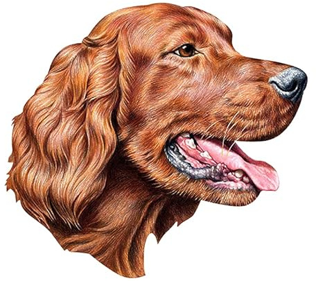 PVC 0165 Verschiedene Größen Selbstklebender Aufkleber Irish Setter Autoaufkleber Wasserdichte Autodekore auf der Stoßstange