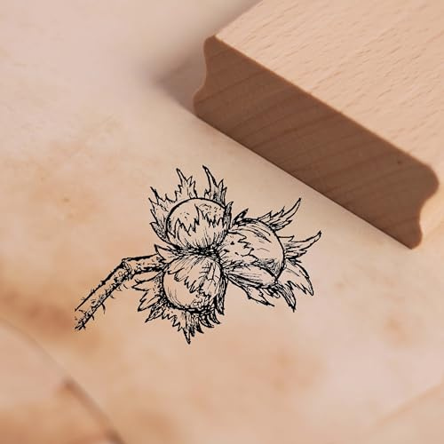 Motivstempel Haselnuss - Nuss Stempel Holzstempel Scrapbooking 38 x 28 mm