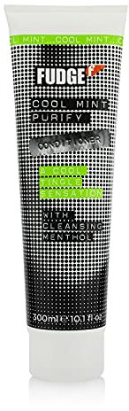 Fudge Cool Mint Purify Conditioner, 1 Stück