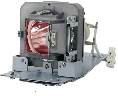 PRODCA Accesorios para Herramientas Lámpara de proyector 5811120589-S Compatible con proyectores Vivitek 5811120589-SVV DH833 DW832 DW932 DX831 DX83AAB DX931