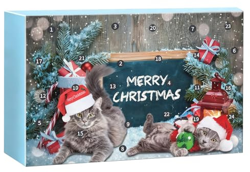 Katzen Adventskalender Für Weihnachten 2025 Katzen Interaktive Spielzeuge