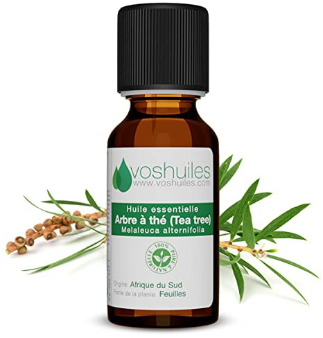 Voshuiles - Huile Essentielle Arbre à Thé - 10ml - Parfum Légèrement Piquant, Citronné, Boisé et Terreux - 100% Pure et Naturelle - HEBBD - Entreprise Française