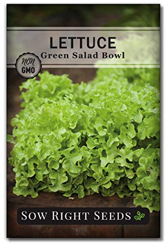 Sow Right Seeds - Green Salad Bowl Lettuce Seeds for Planting - Ideal Spring or Fall Lettuce - Great for Hydroponics & Outdoor Gardens - Non-GMO, Heirloom - Perfect for Fresh Salads & Leafy Greens (1)