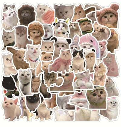 MOPZIJA 60PCS Katzen Sticker,Lustiges Aufkleber Set Cat,Katzen Meme Sticker,Wasserfeste Vinyl Aufkleber Tiere für Skateboard Laptop Koffer Helm Motorrad Fahrrad Handy,Geeignet für Erwachsene Kinder